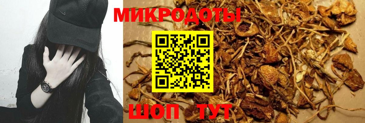 Псилоцибиновые грибы Magic Shrooms  Вход с VPN  Курчалой 
