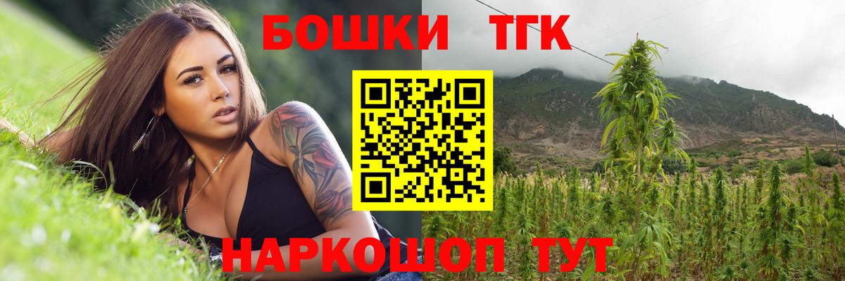 Галлюциногенные грибы Курчалой